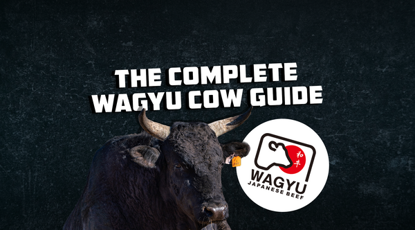 The Complete Wagyu Cow Guide: Interesting facts about Wagyu cattle
