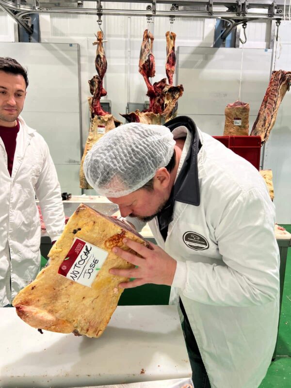 Galice Blonde Beef (Dry Aged) Gourmet Steak (1 KG)